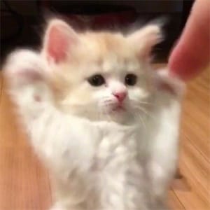 Ảnh đại diện của Thùy Dung